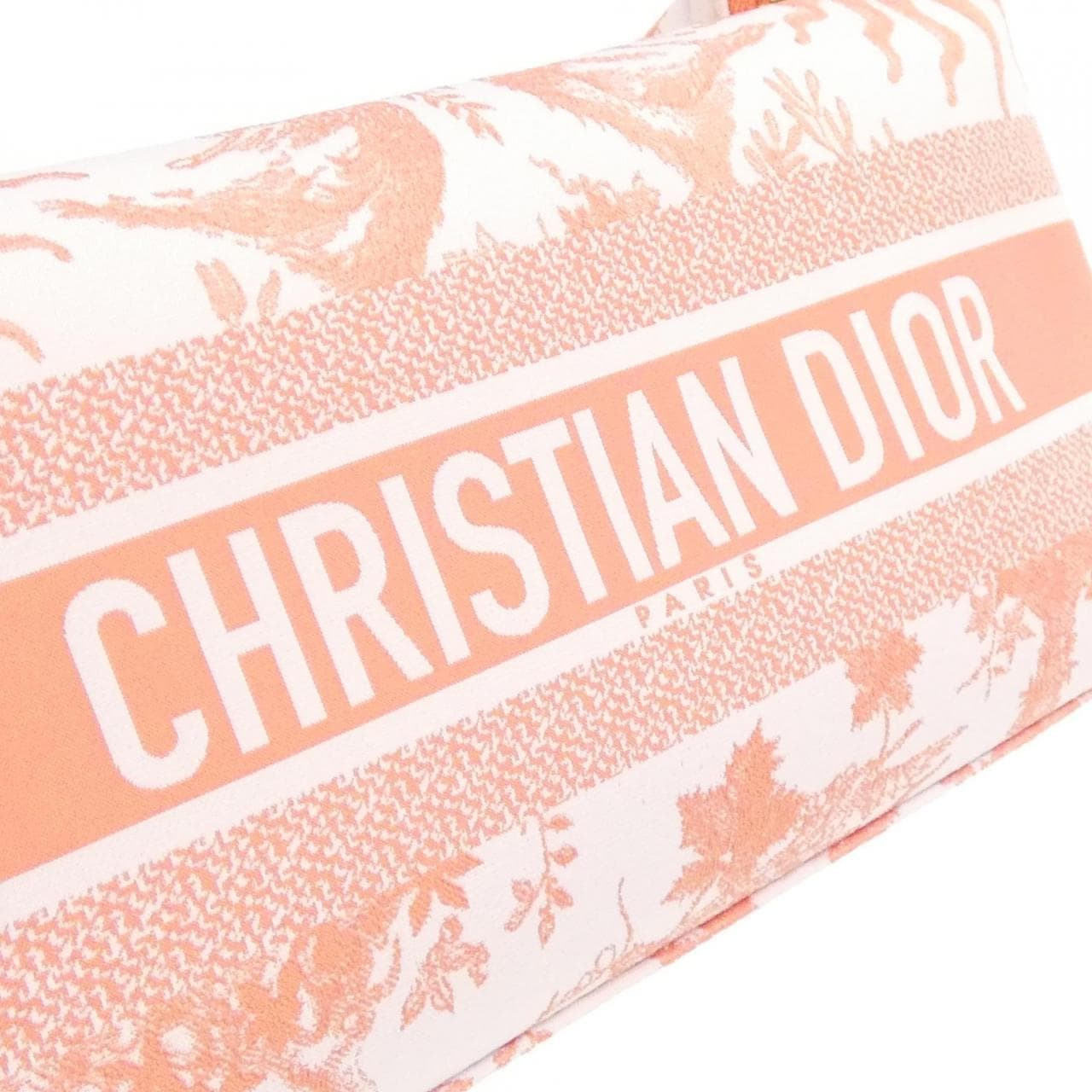 DIOR S5554ONJA Pouch Canvas