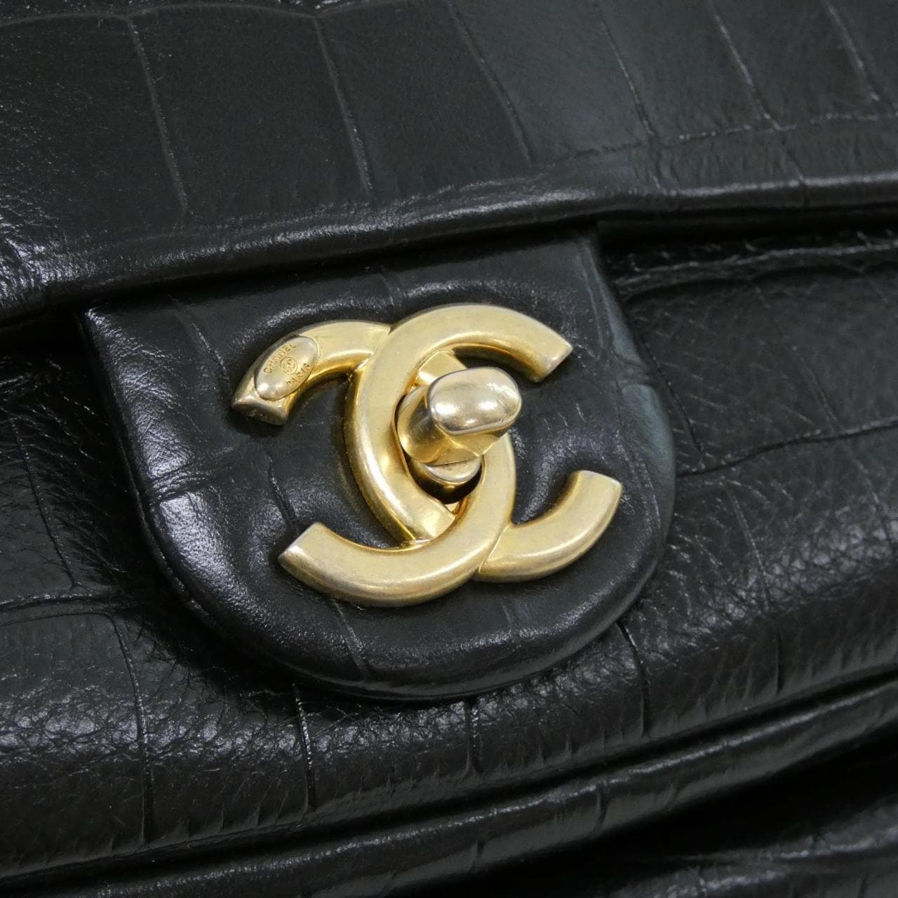 CHANEL AS0800 Backpack Crocodile