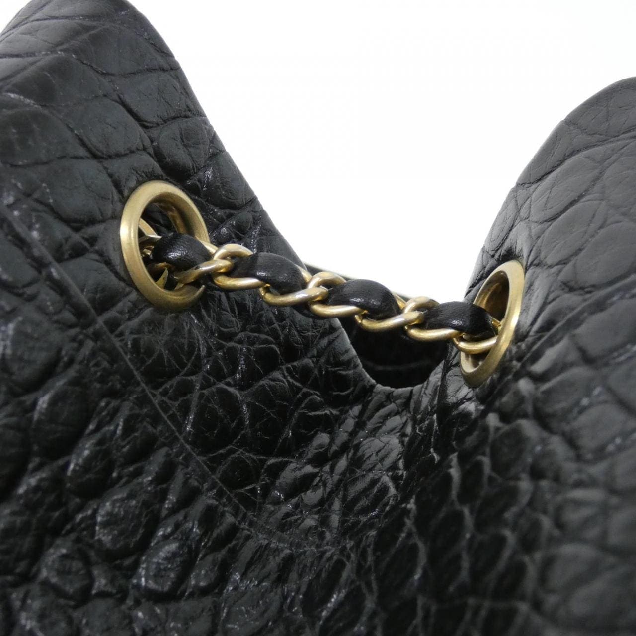 CHANEL AS0800 Backpack Crocodile