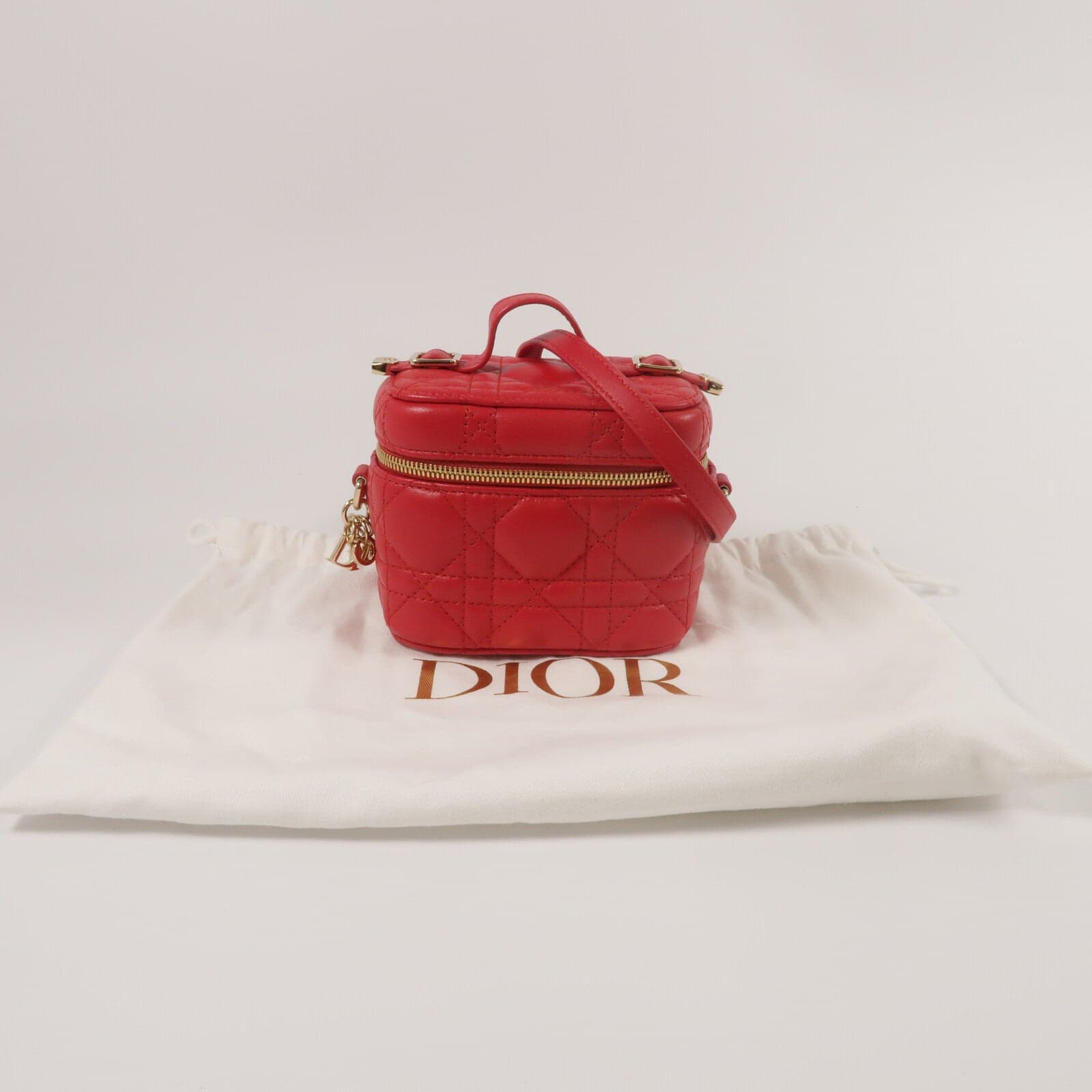 LOUIS VUITTON Vanity 2-Way Bag Lambskin