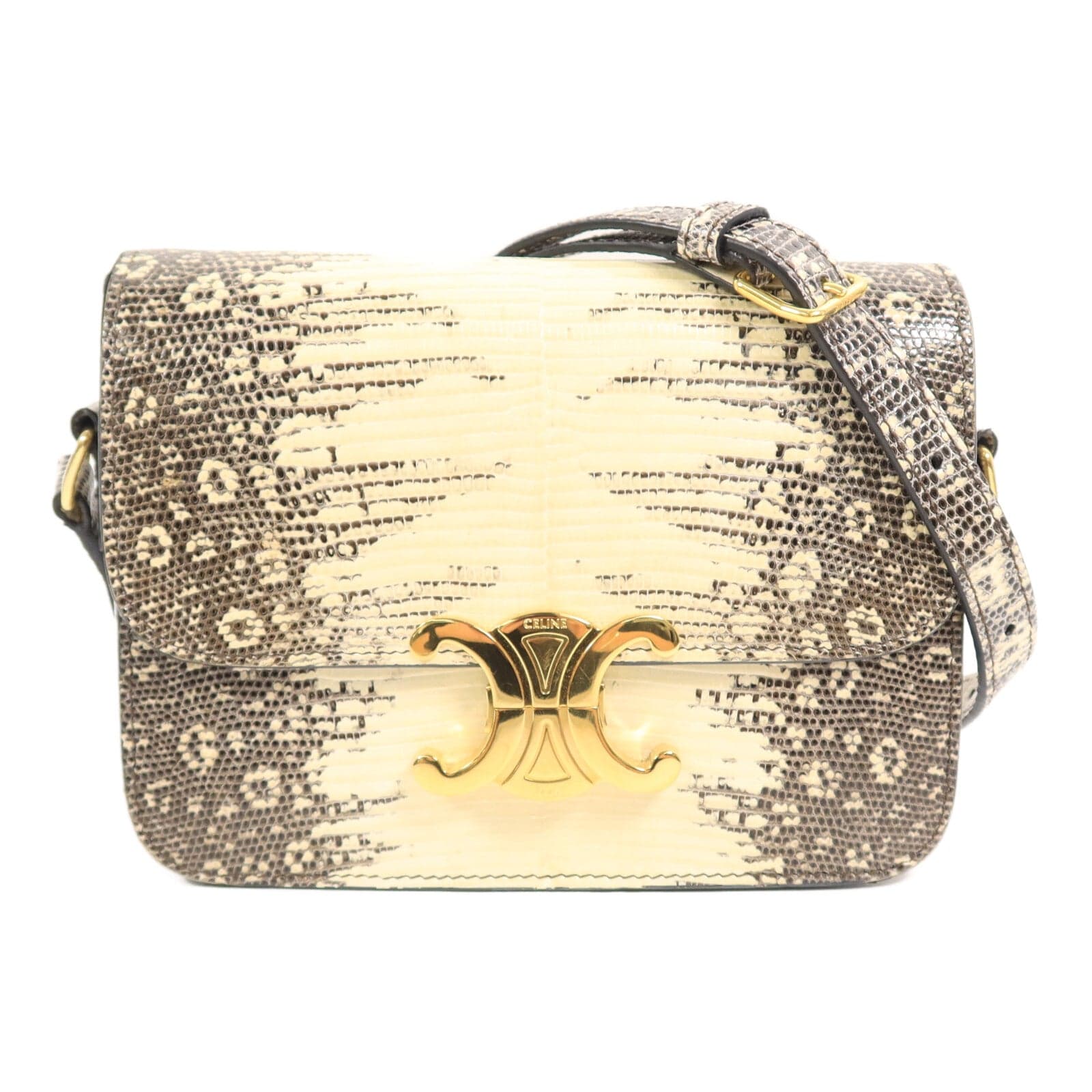 LOUIS VUITTON Shoulder Bag x Lizard
