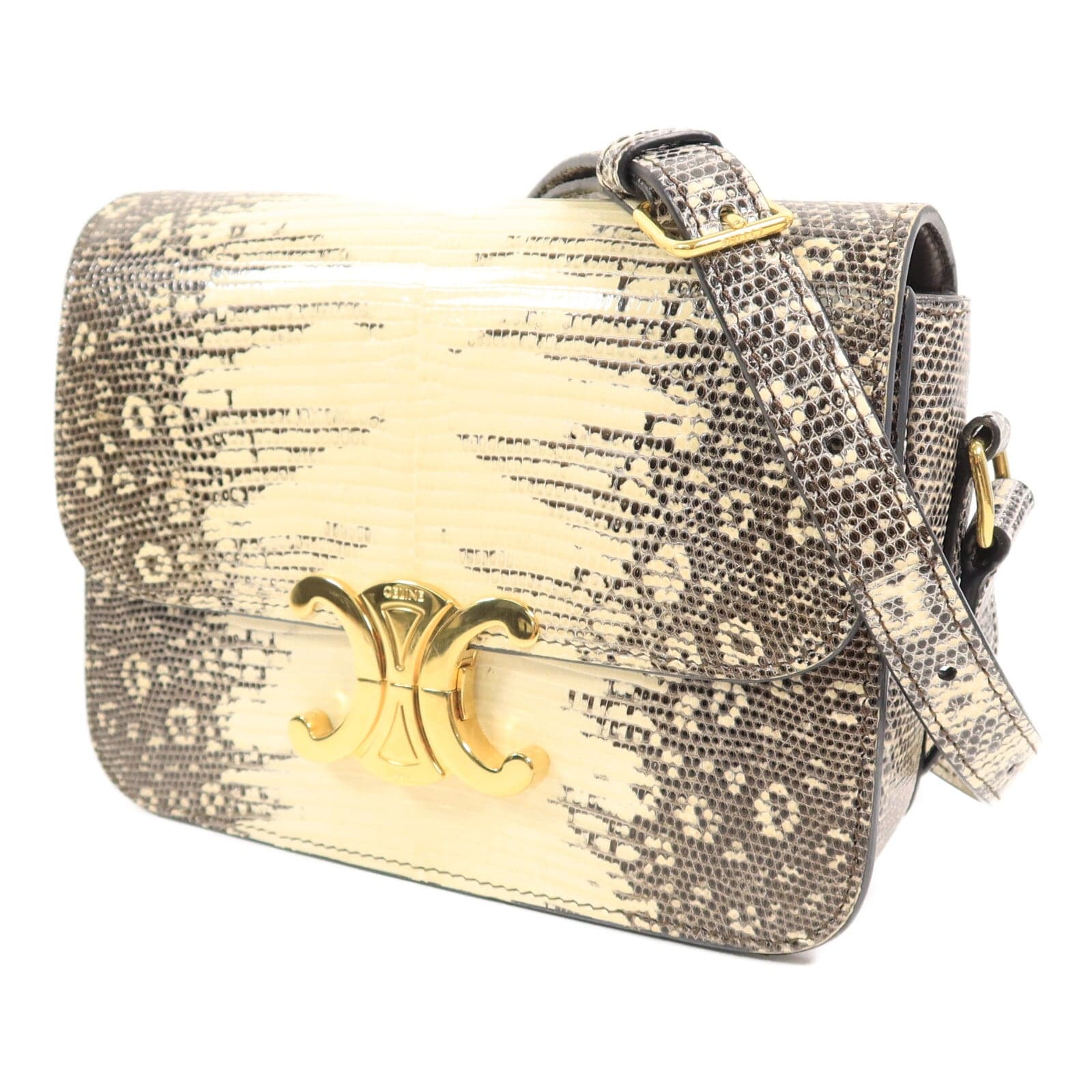 LOUIS VUITTON Shoulder Bag x Lizard
