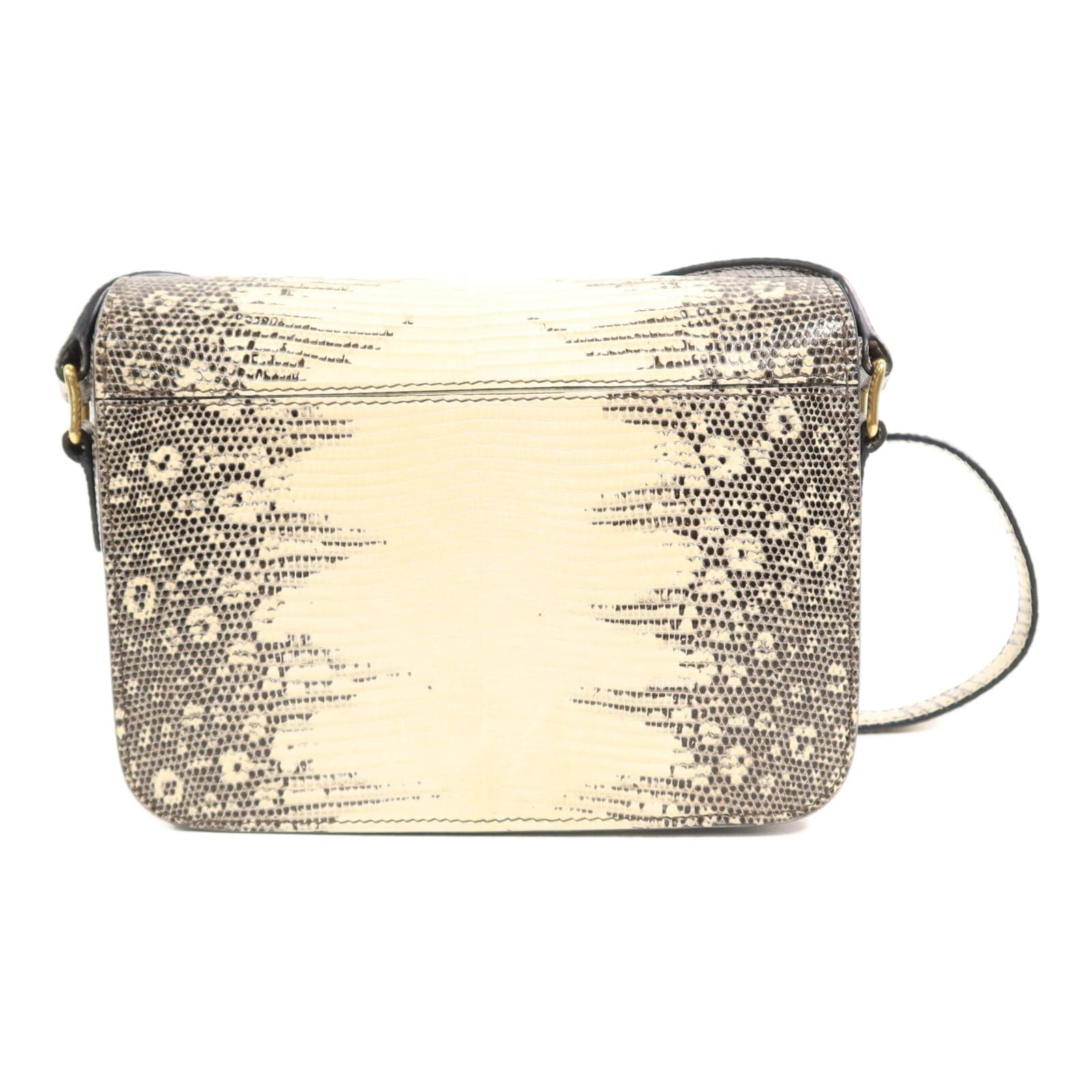 LOUIS VUITTON Shoulder Bag x Lizard