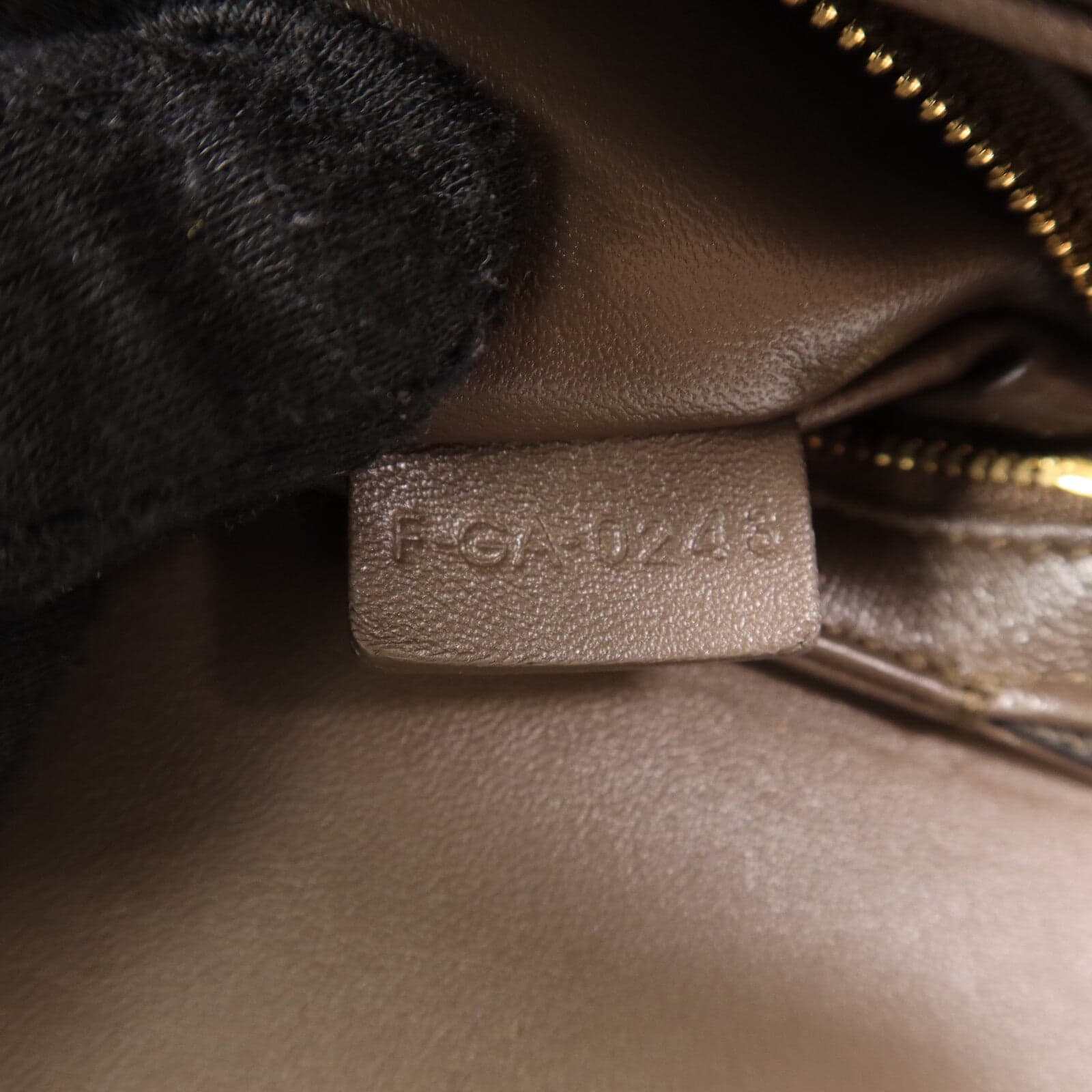 LOUIS VUITTON Shoulder Bag x Lizard