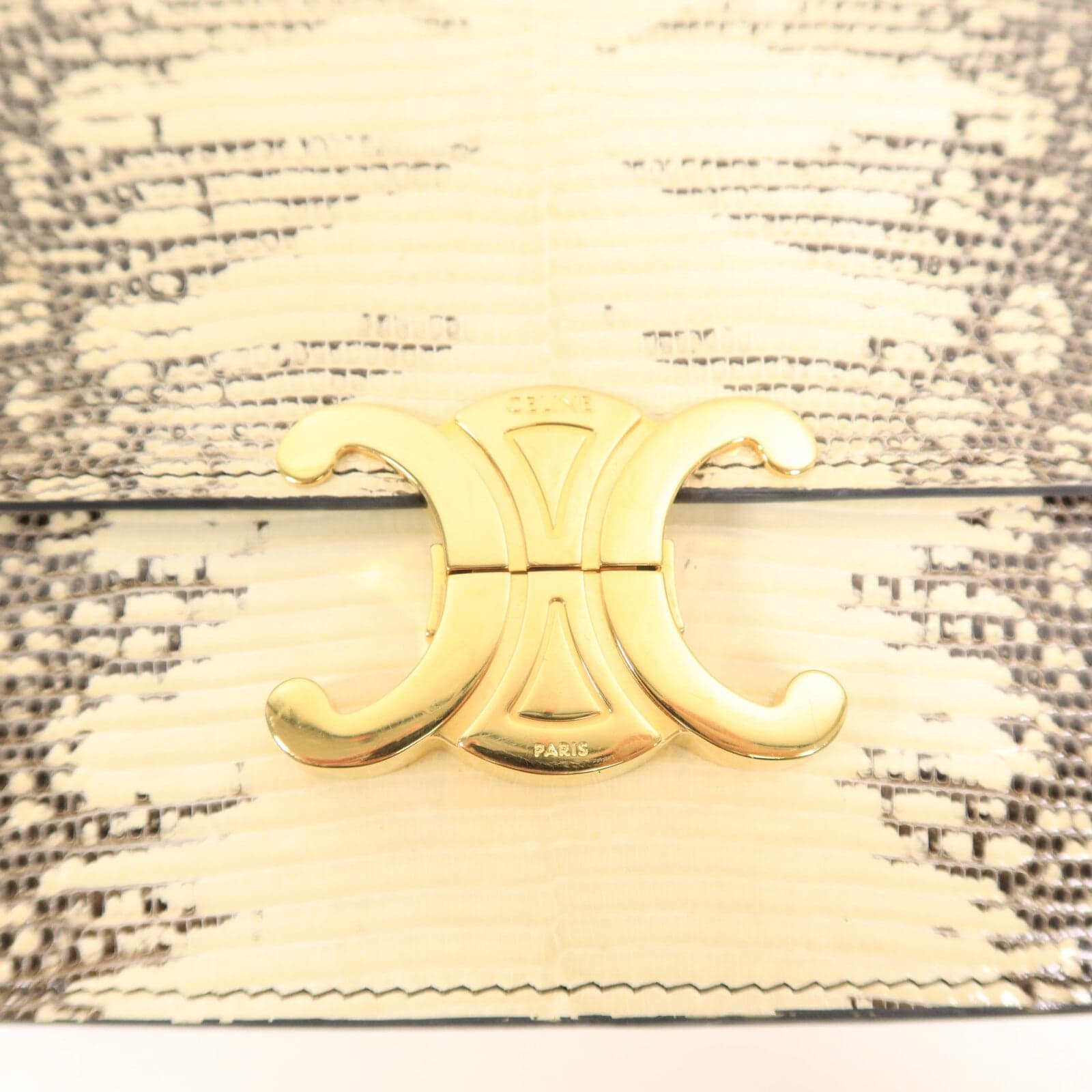 LOUIS VUITTON Shoulder Bag x Lizard