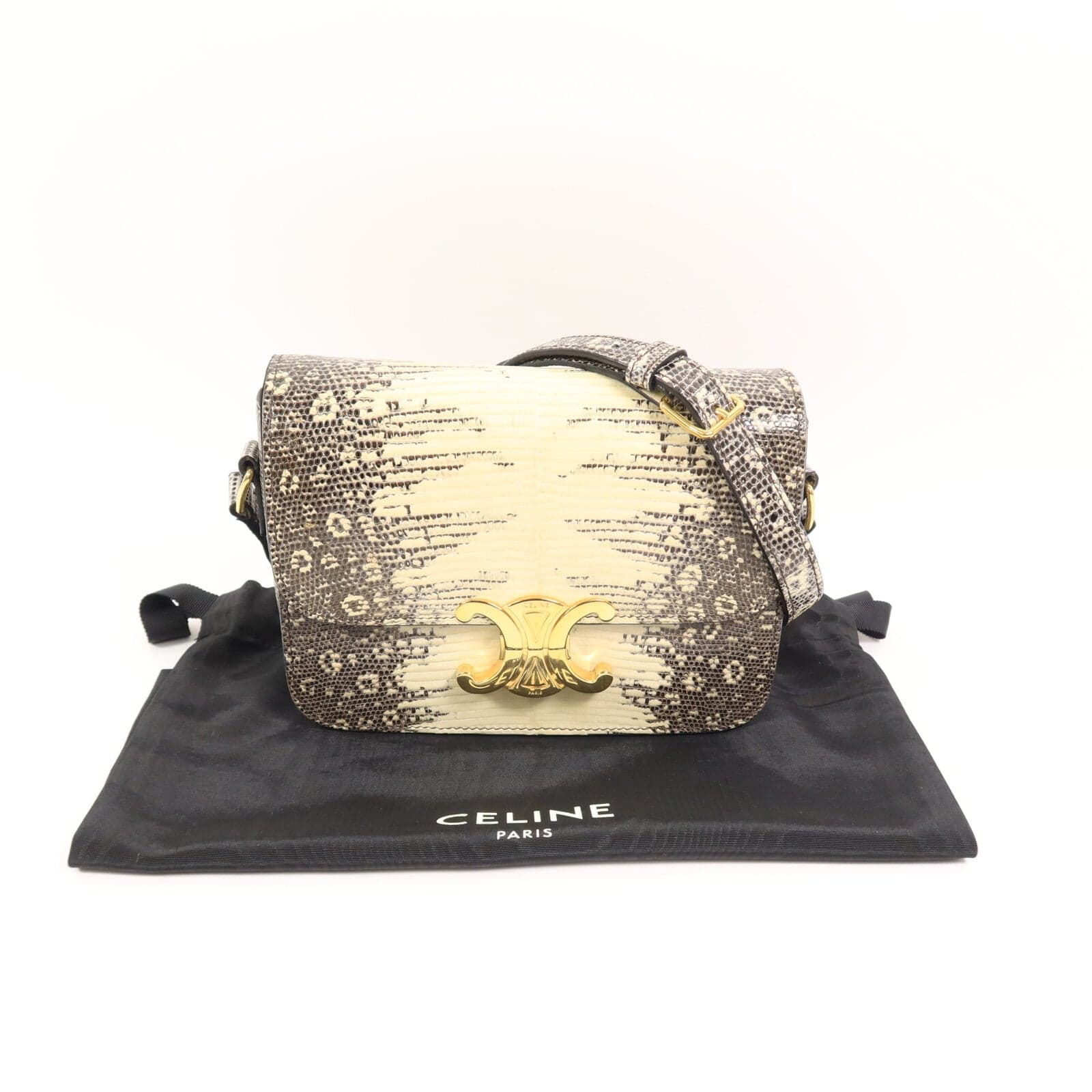 LOUIS VUITTON Shoulder Bag x Lizard