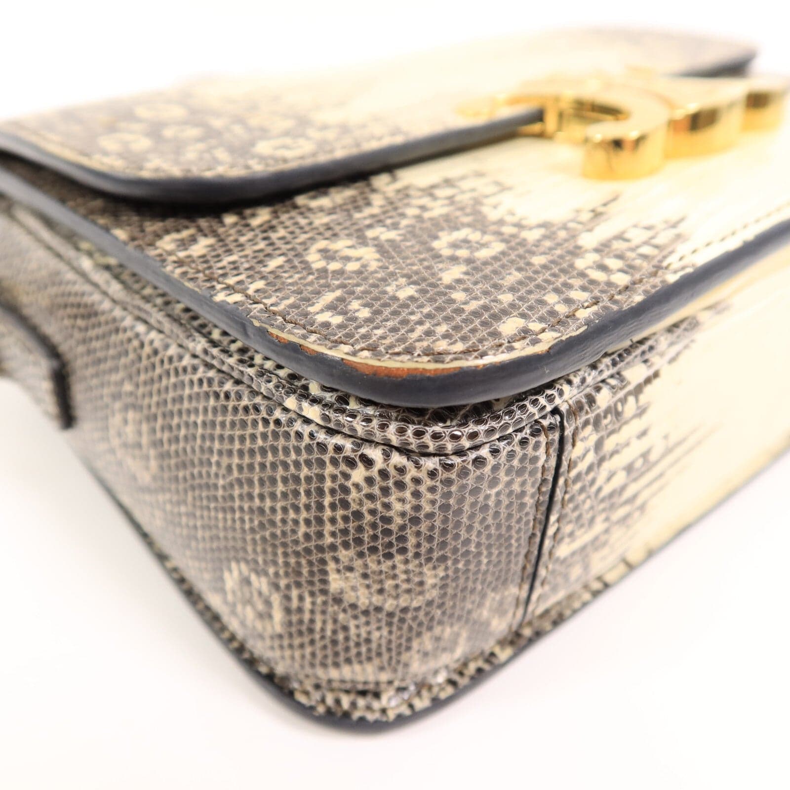 LOUIS VUITTON Shoulder Bag x Lizard
