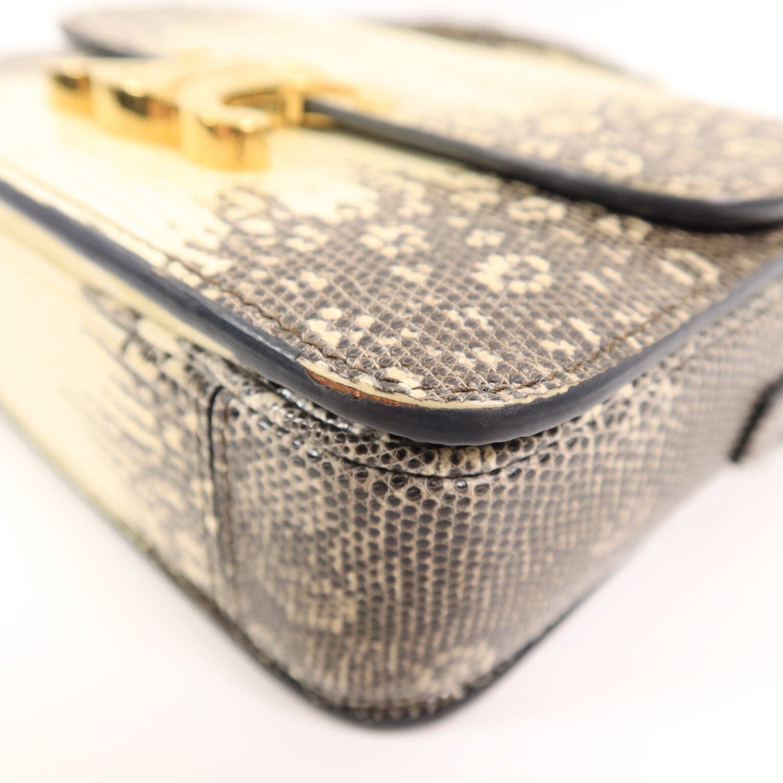 LOUIS VUITTON Shoulder Bag x Lizard