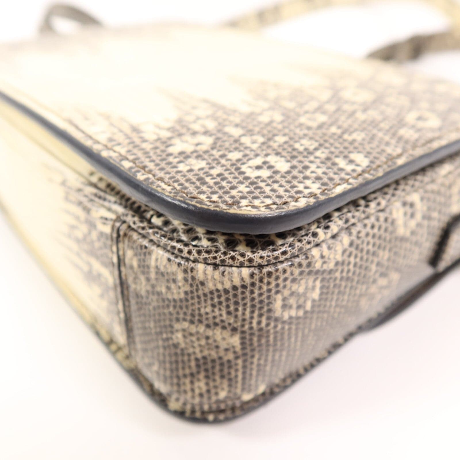 LOUIS VUITTON Shoulder Bag x Lizard