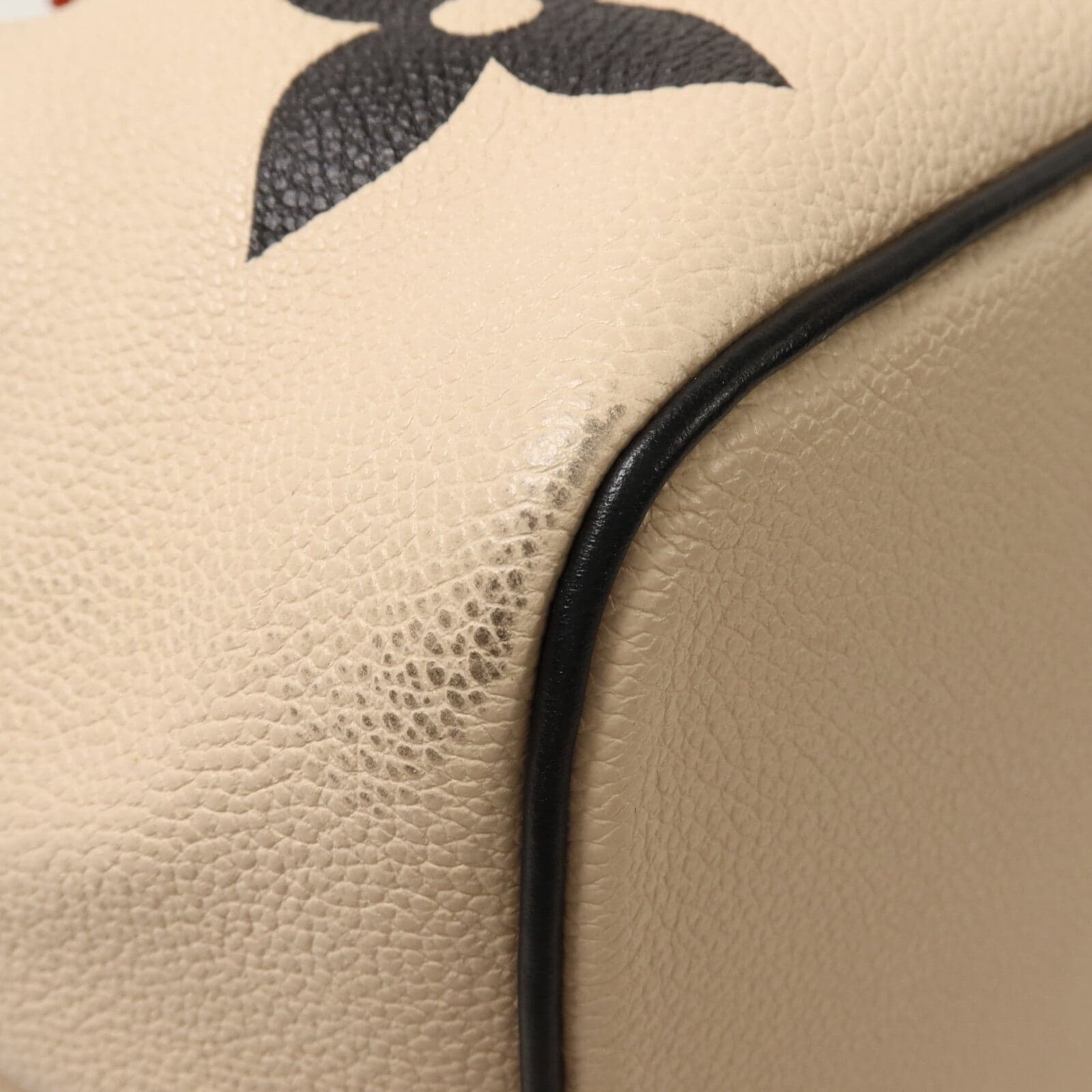 LOUIS VUITTON NeoNoe M56889 2-Way Bag Calfskin