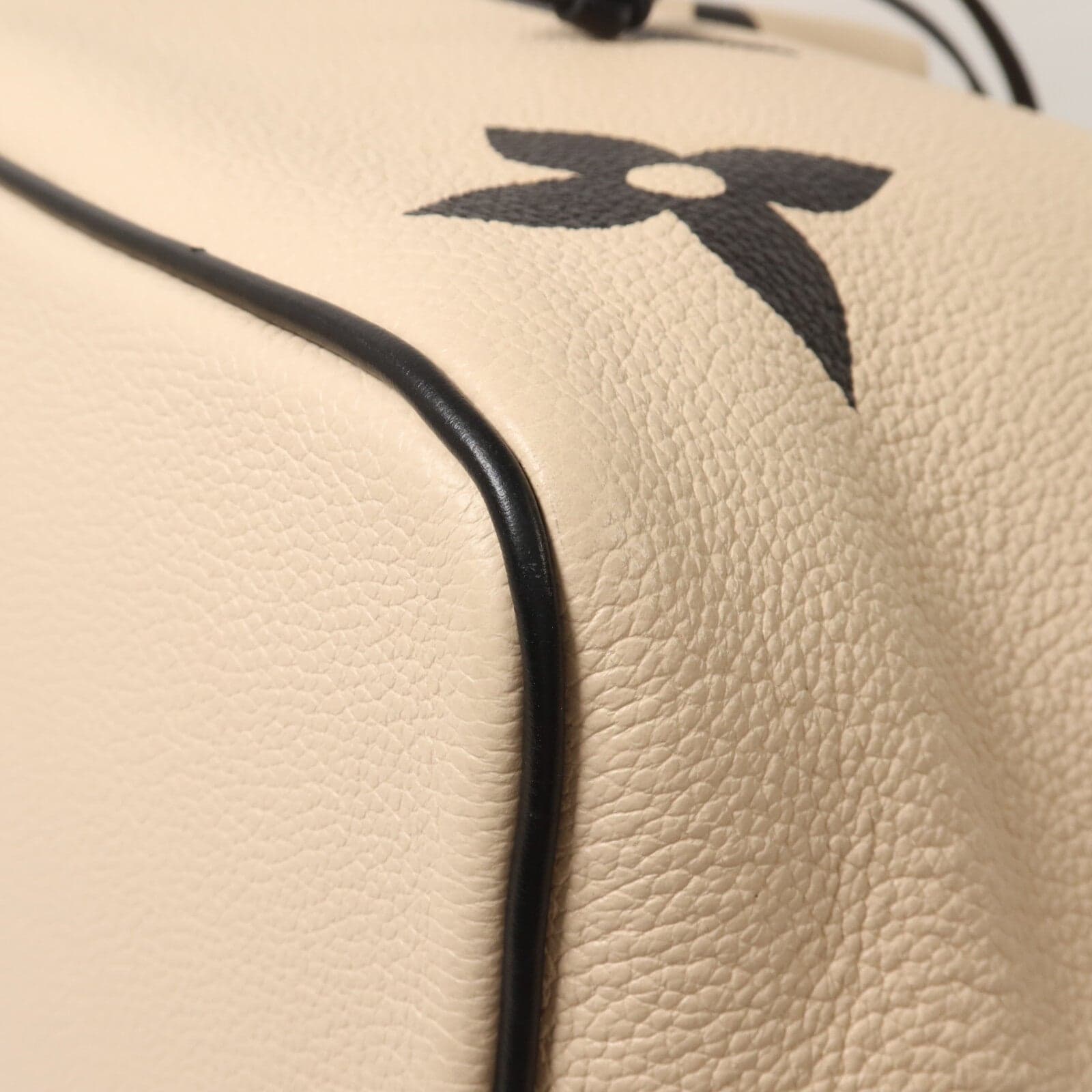 LOUIS VUITTON NeoNoe M56889 2-Way Bag Calfskin