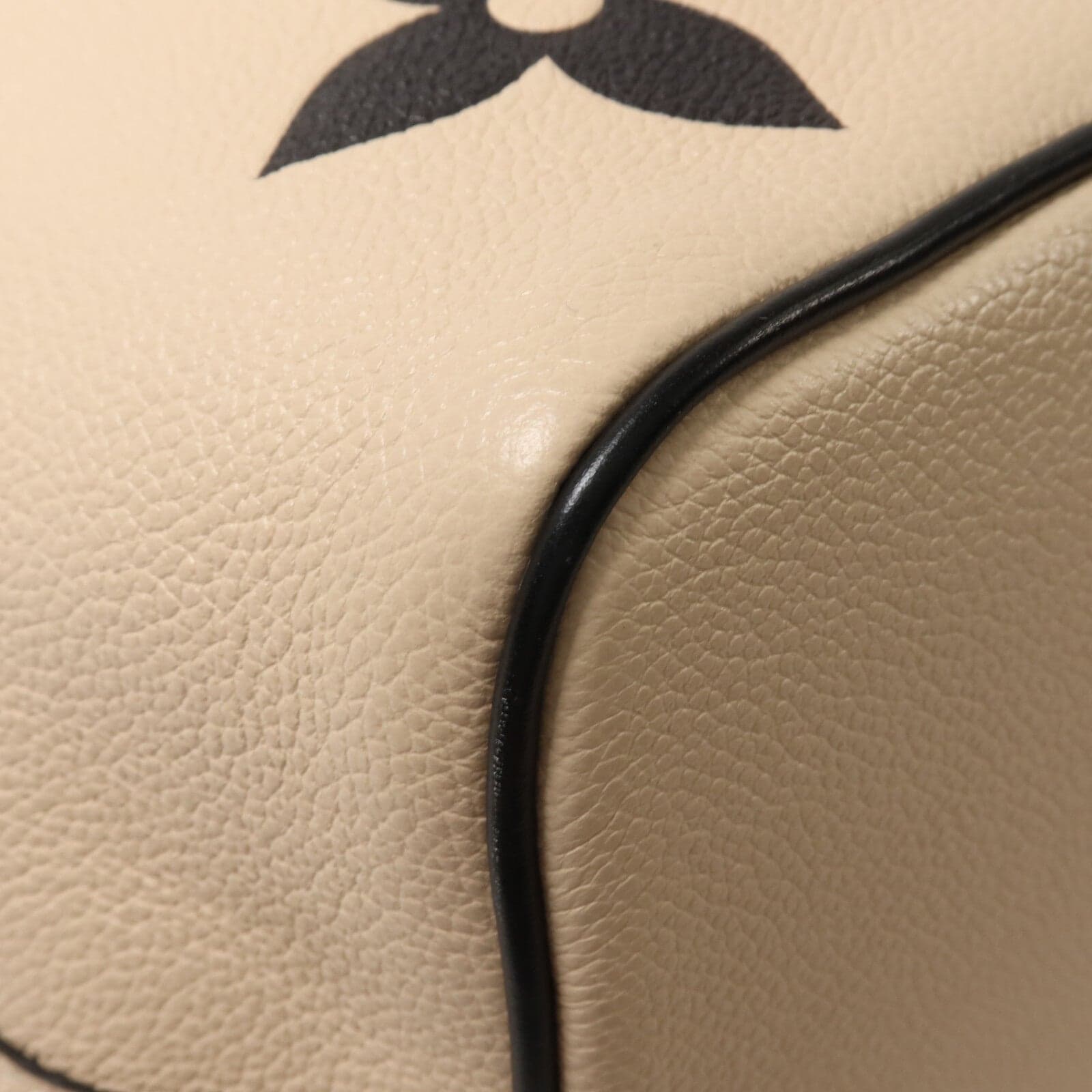 LOUIS VUITTON NeoNoe M56889 2-Way Bag Calfskin