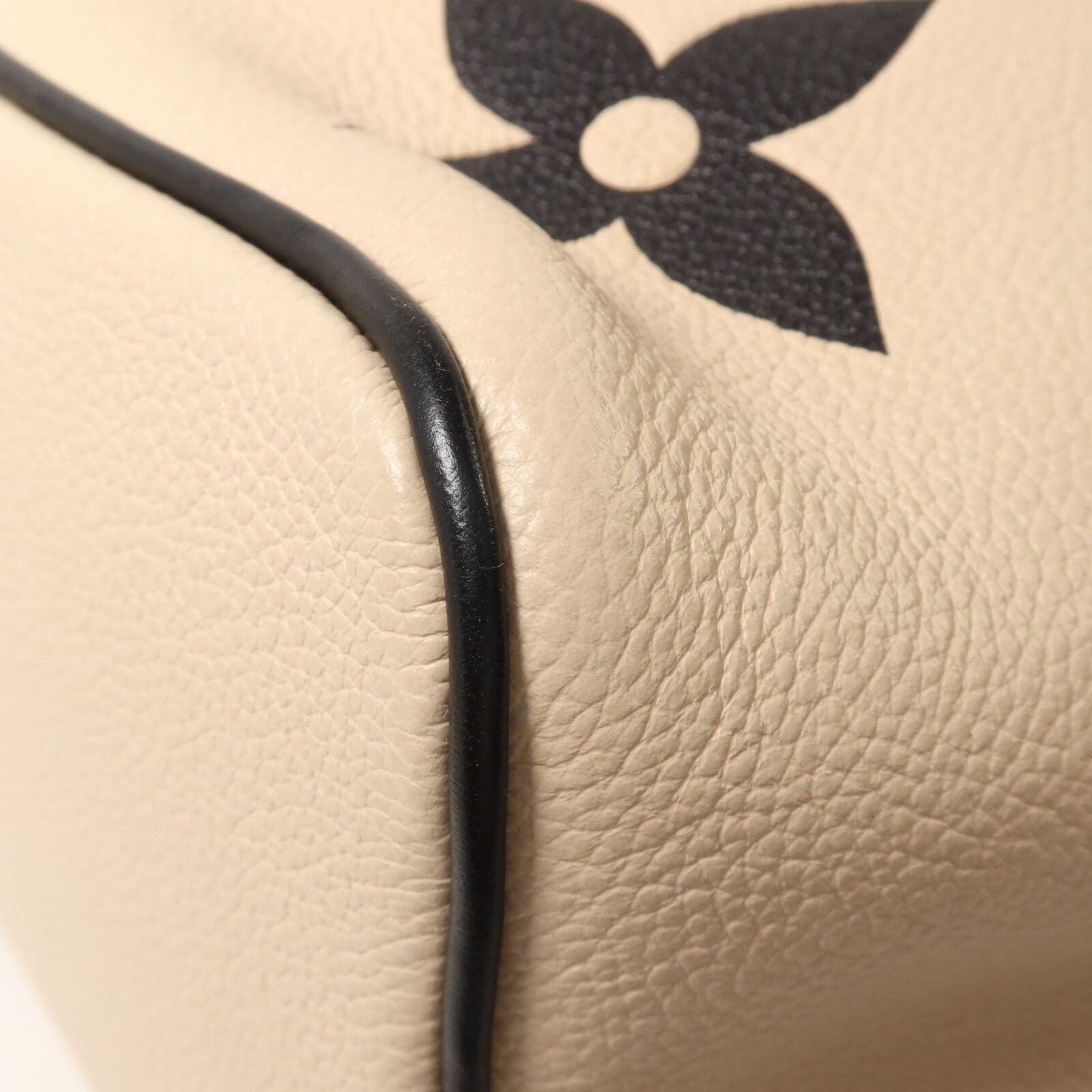 LOUIS VUITTON NeoNoe M56889 2-Way Bag Calfskin