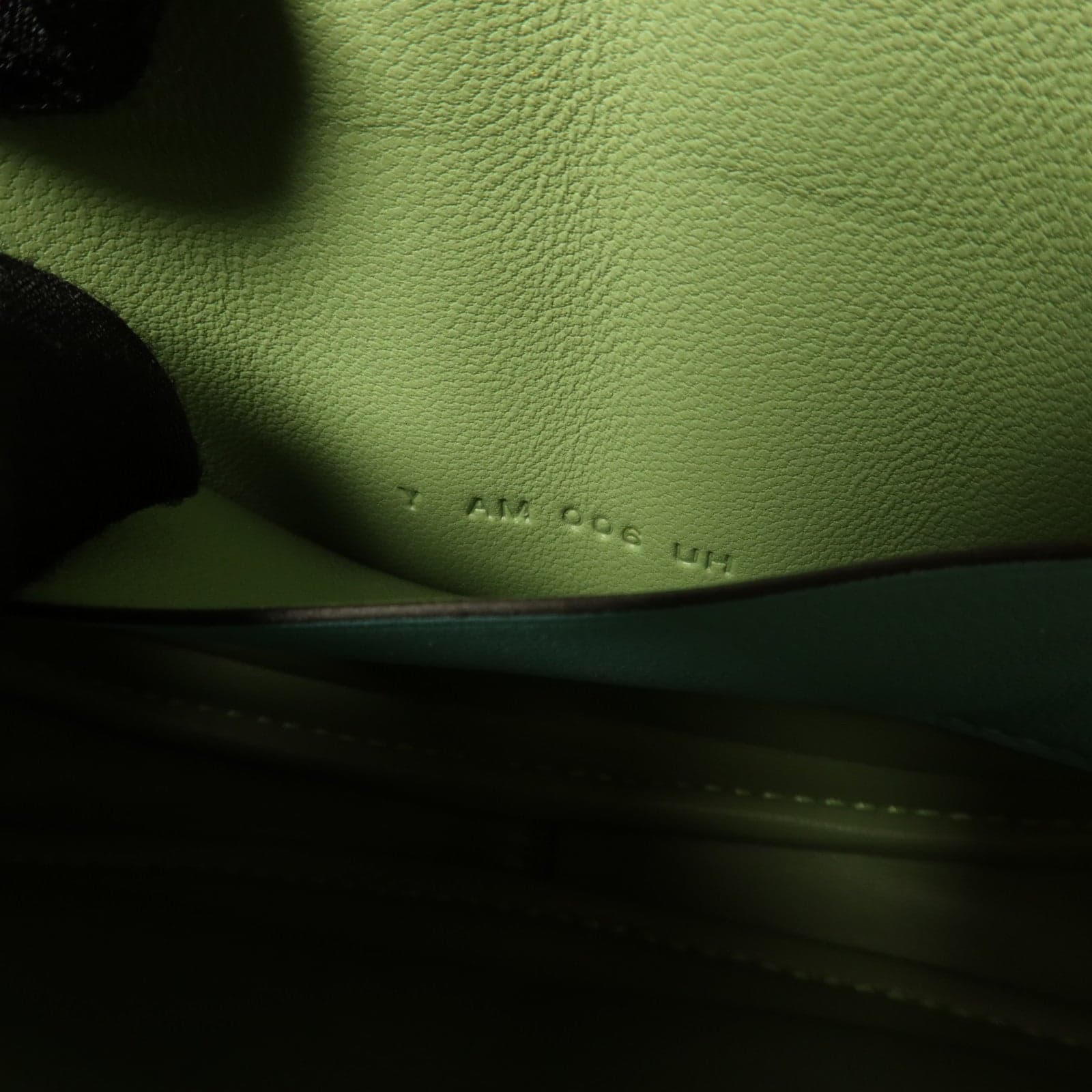 LOUIS VUITTON Loop Shoulder Bag Calfskin