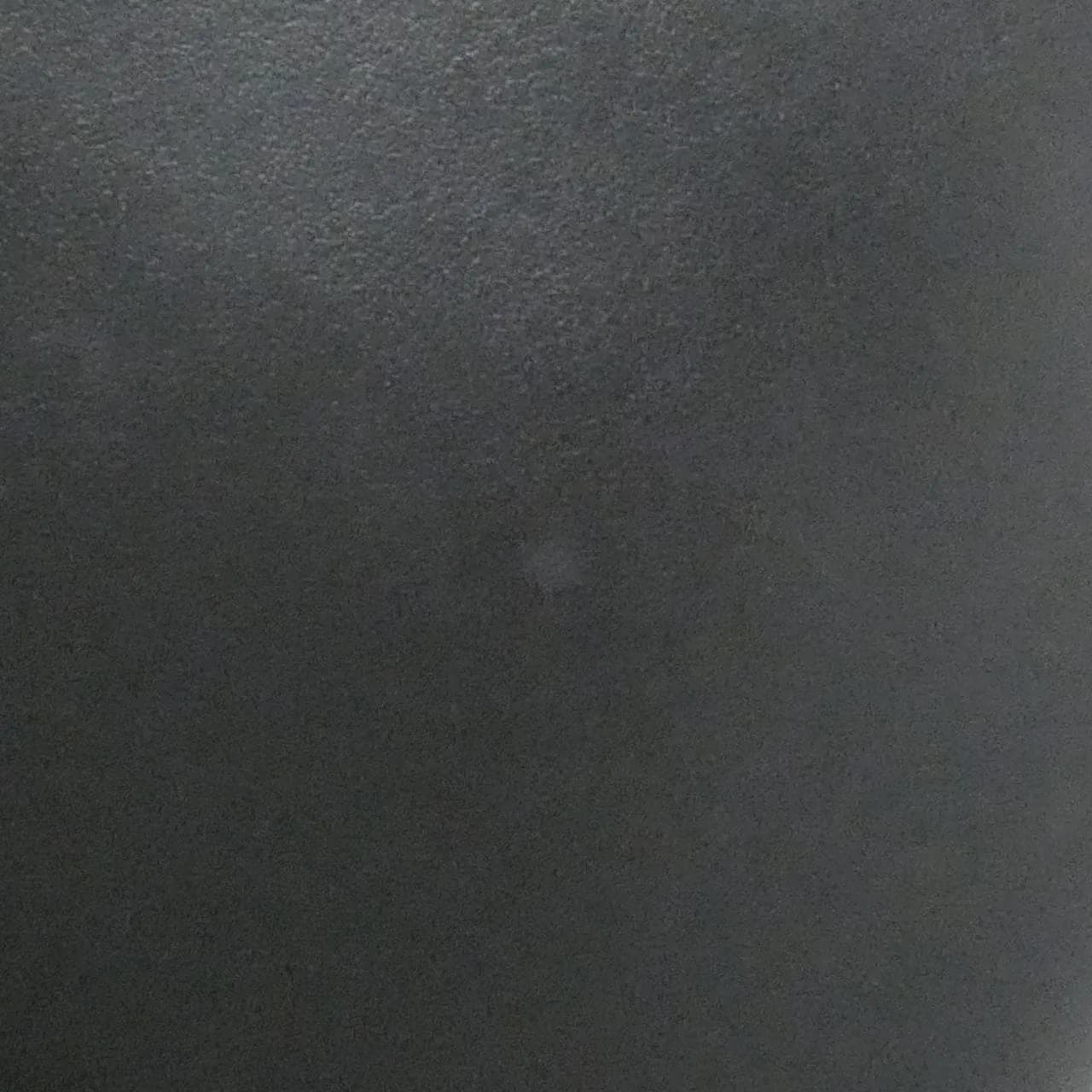 COACH CR684 Handbag Leather