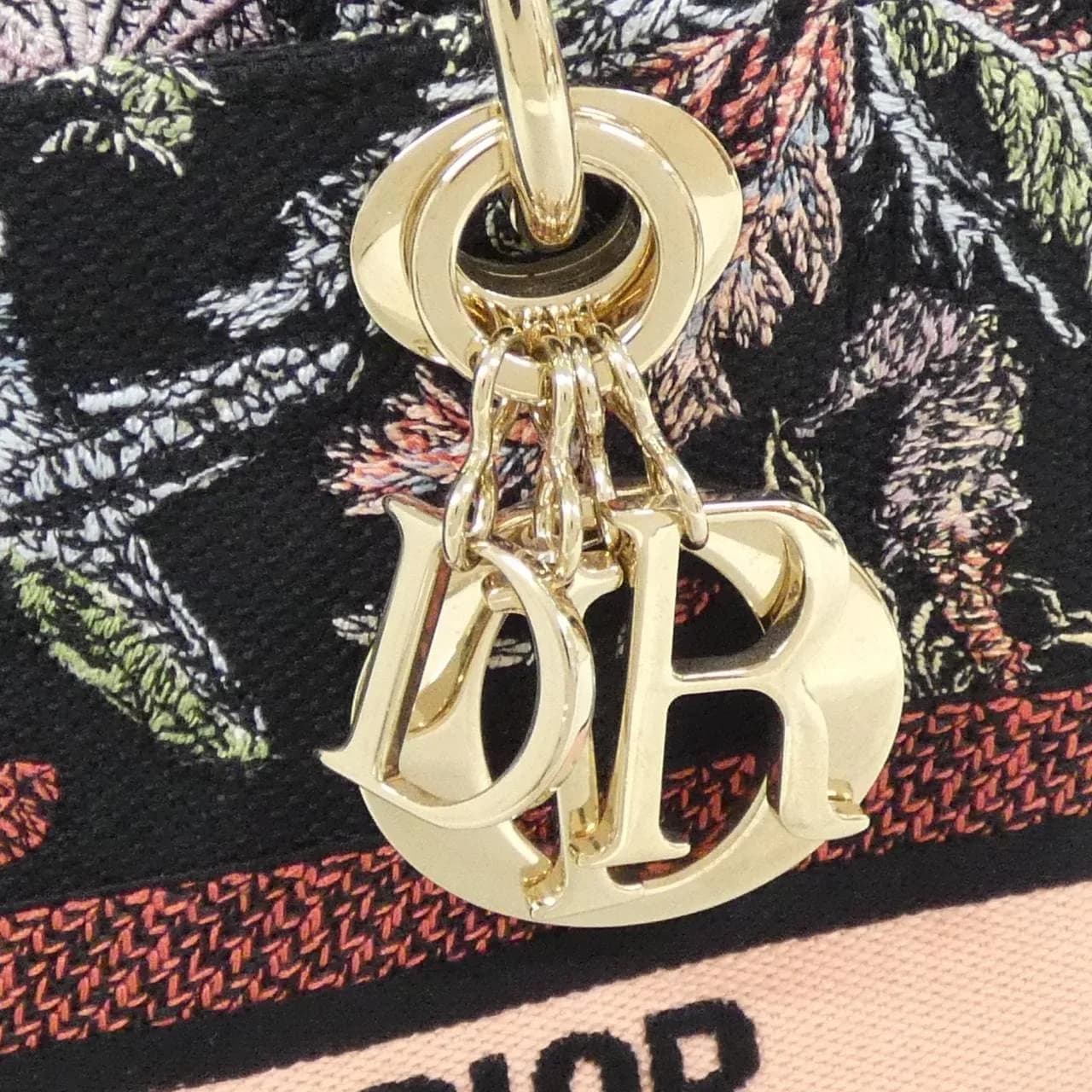DIOR Handbag Canvas