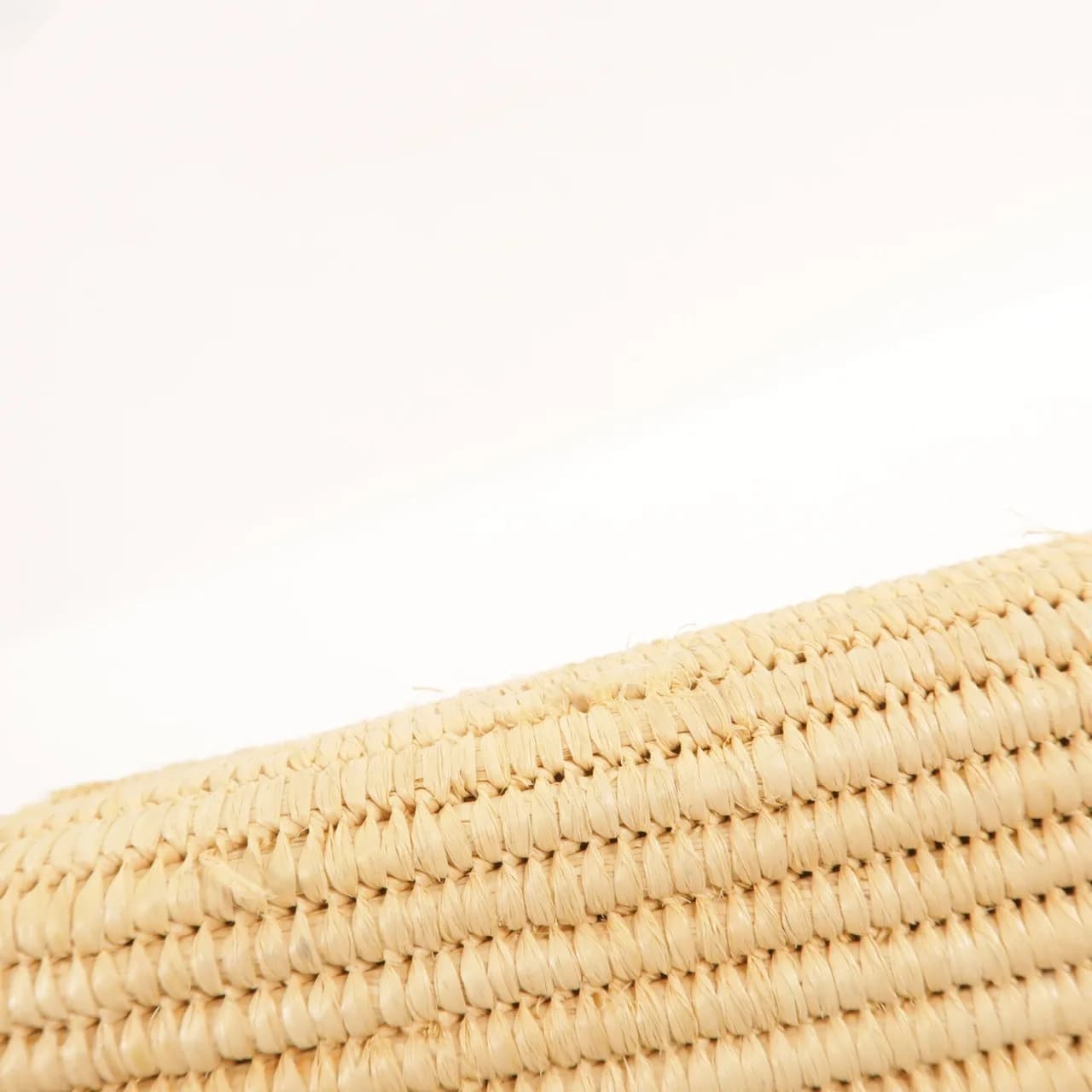 LOEWE Tote Bag x Raffia