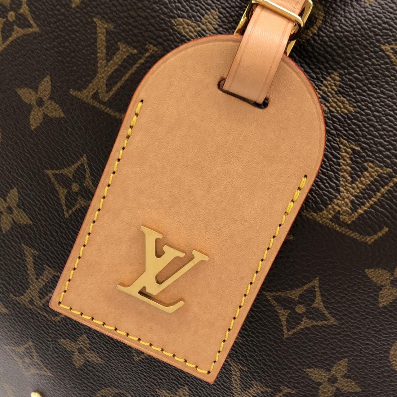 LOUIS VUITTON M46817 Handbag Monogram