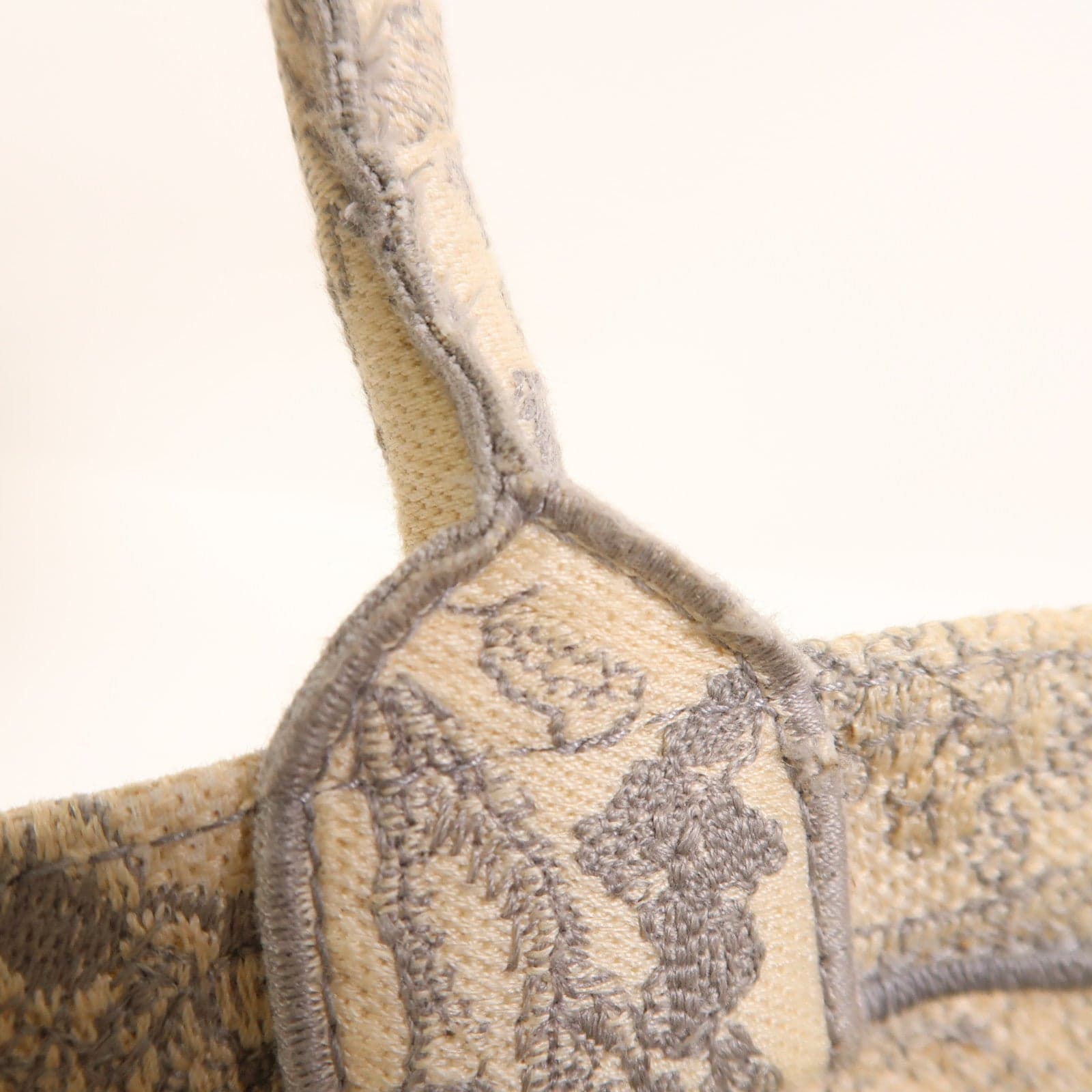 LOUIS VUITTON Tote Bag Canvas