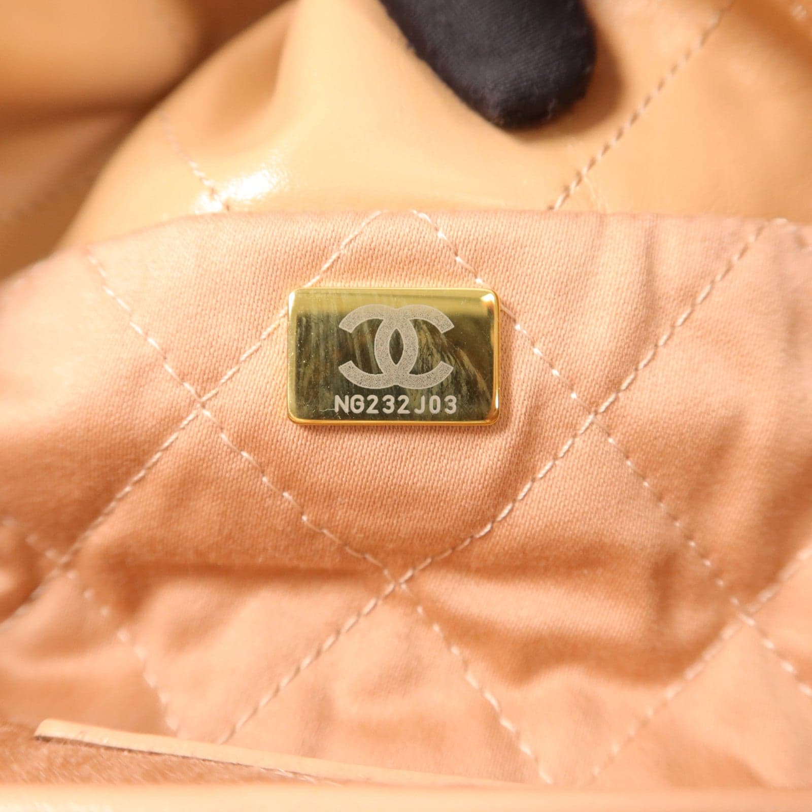 LOUIS VUITTON AS3260 Shoulder Bag Calfskin