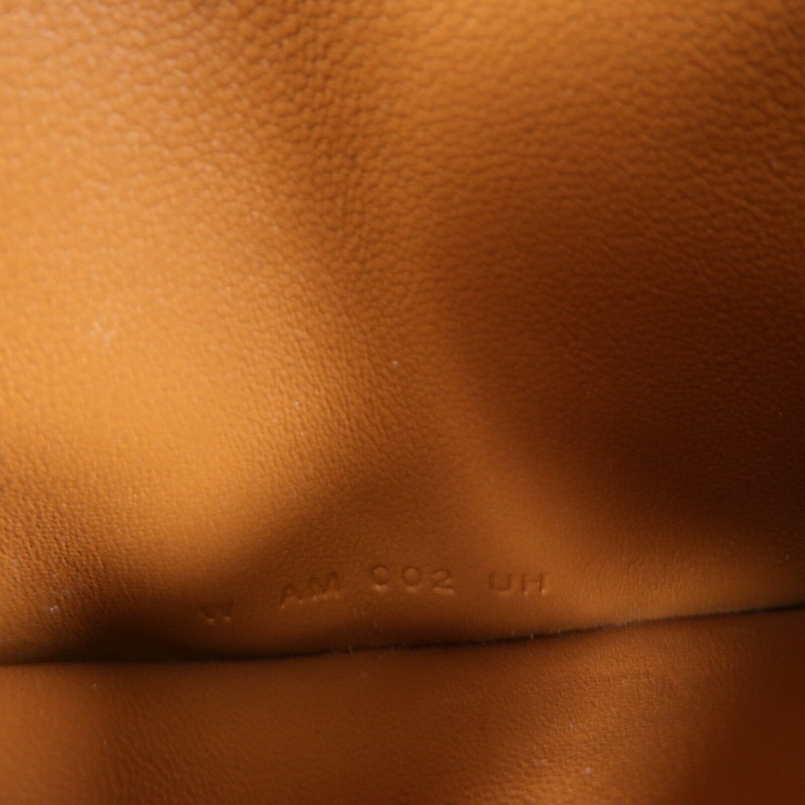 LOUIS VUITTON Loop Belt Bag Calfskin