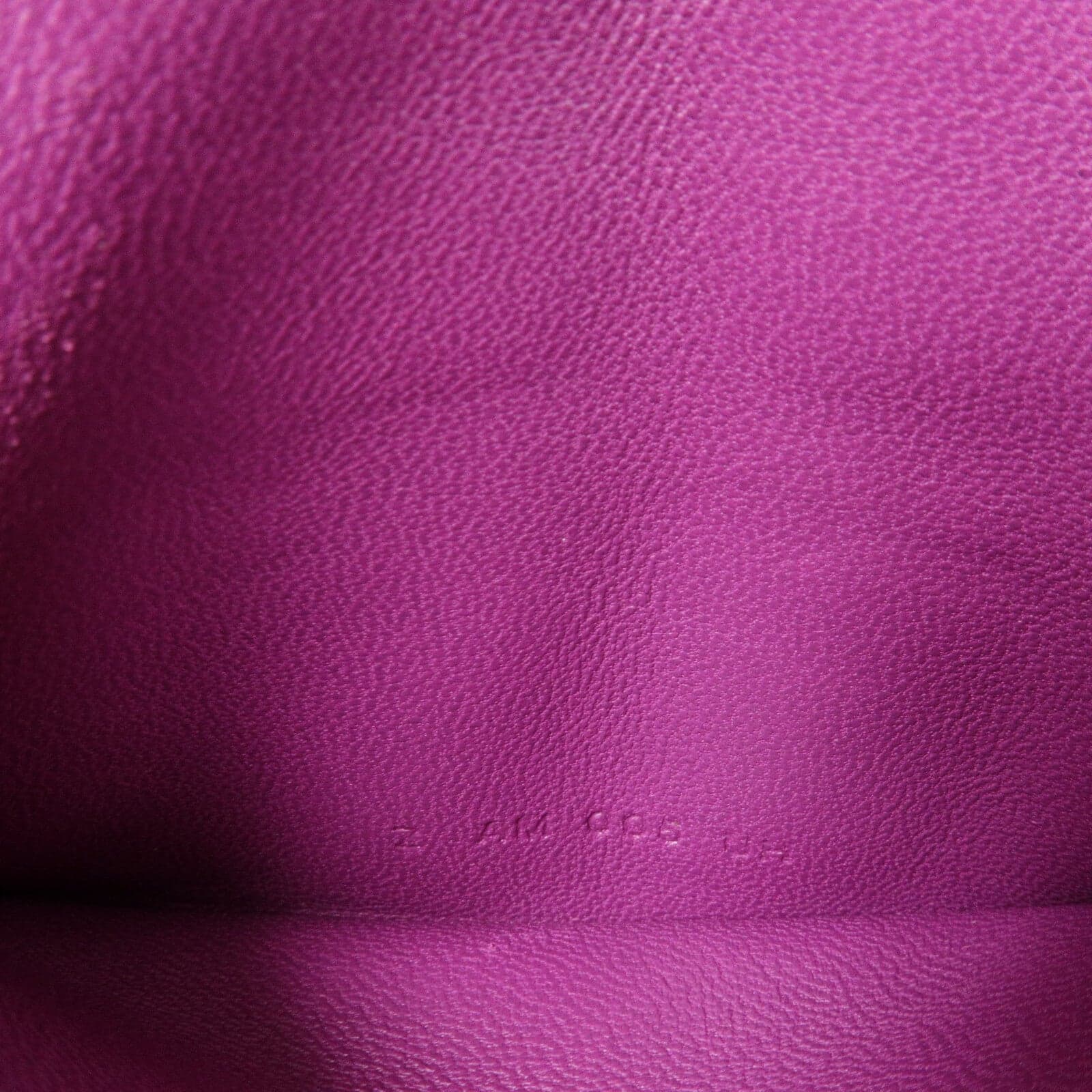 LOUIS VUITTON Loop Belt Bag Calfskin