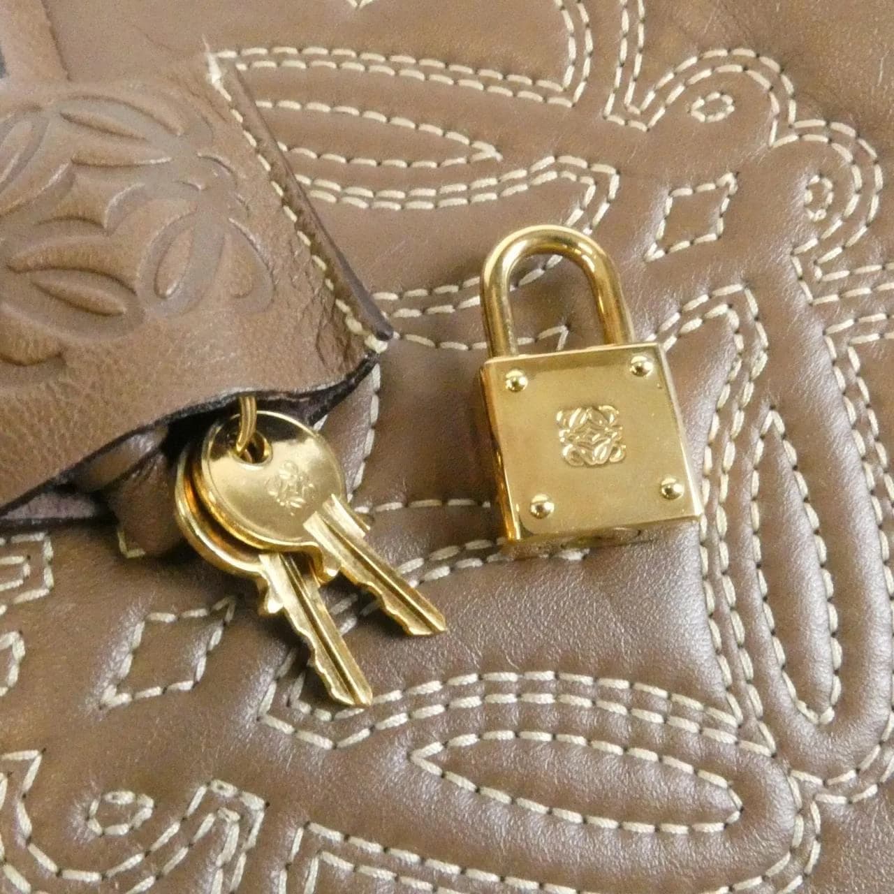 LOEWE Amazona Handbag Leather