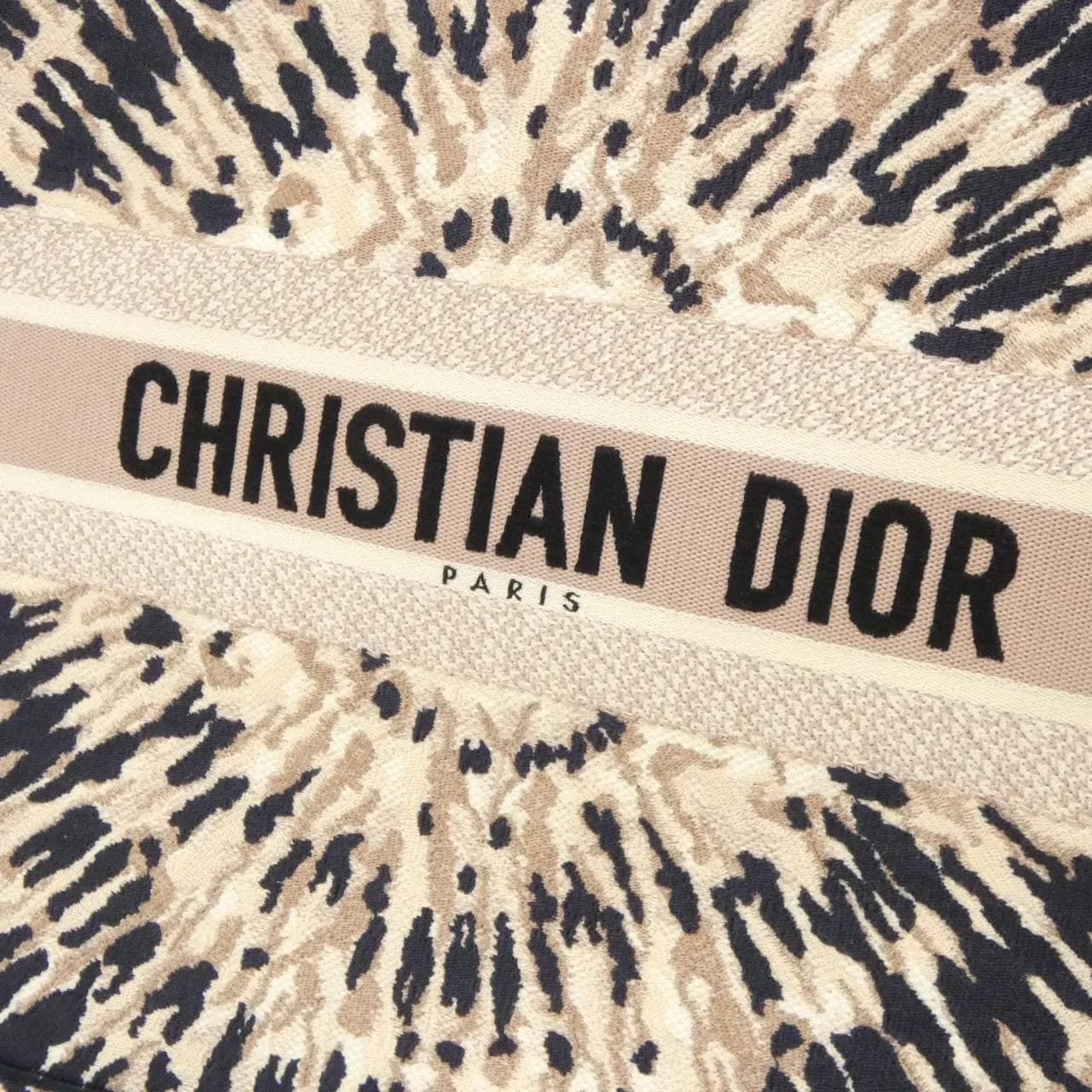 DIOR Book Tote M1286ZJAI Tote Canvas