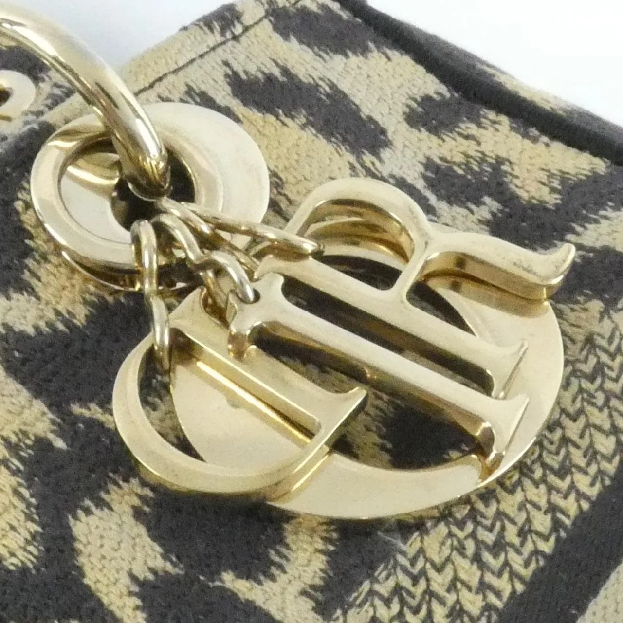 DIOR Lady Dior M0565ORHM Handbag Canvas