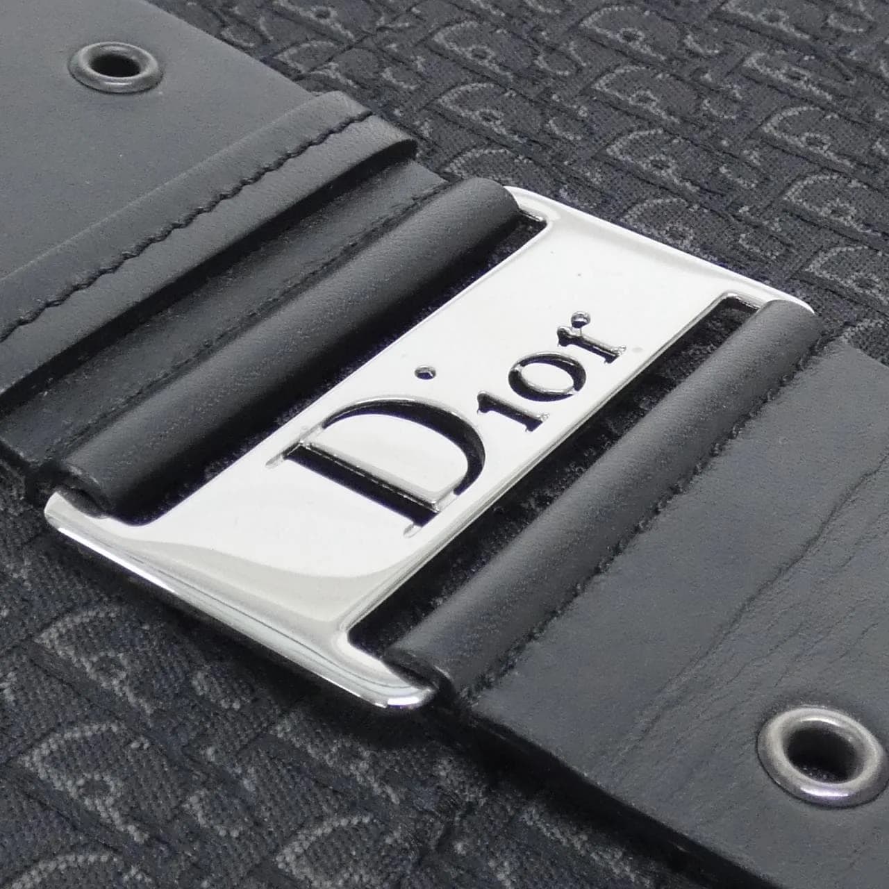 DIOR Shoulder Canvas